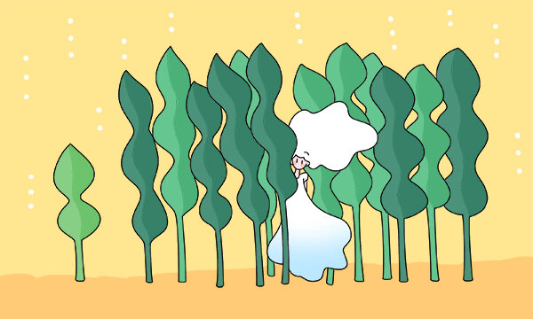 武汉科技大学与英国伯明翰城市大学合作举办网络工程专业